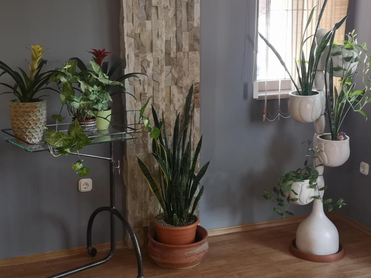 Hotello Apartmanház és Panzió Zalaegerszeg Extérieur photo